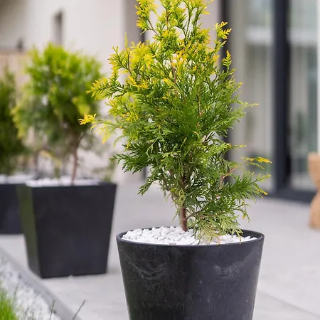 Apartament Amber&calm Euronia Ii